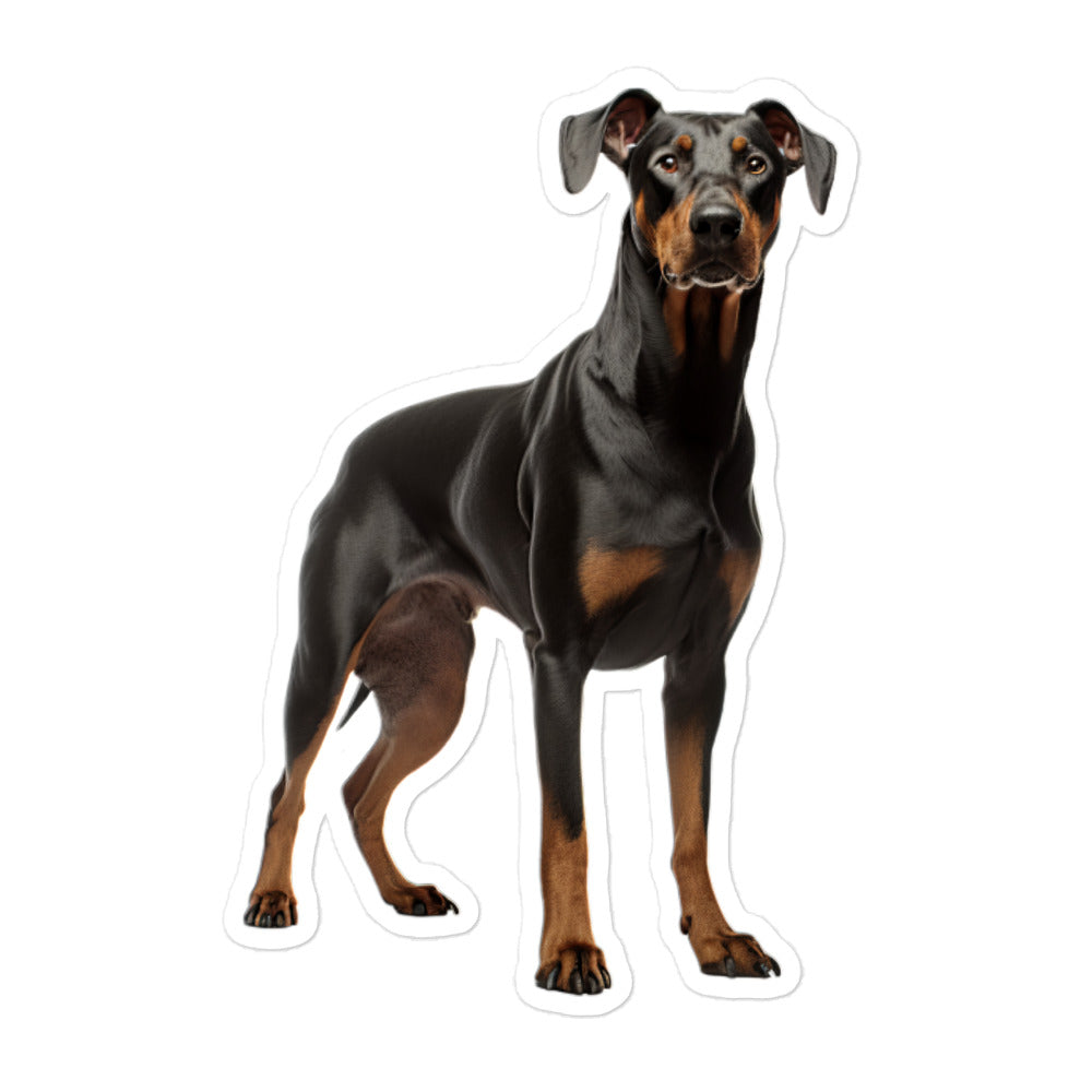 Doberman Sticker - Stickerfy.ai