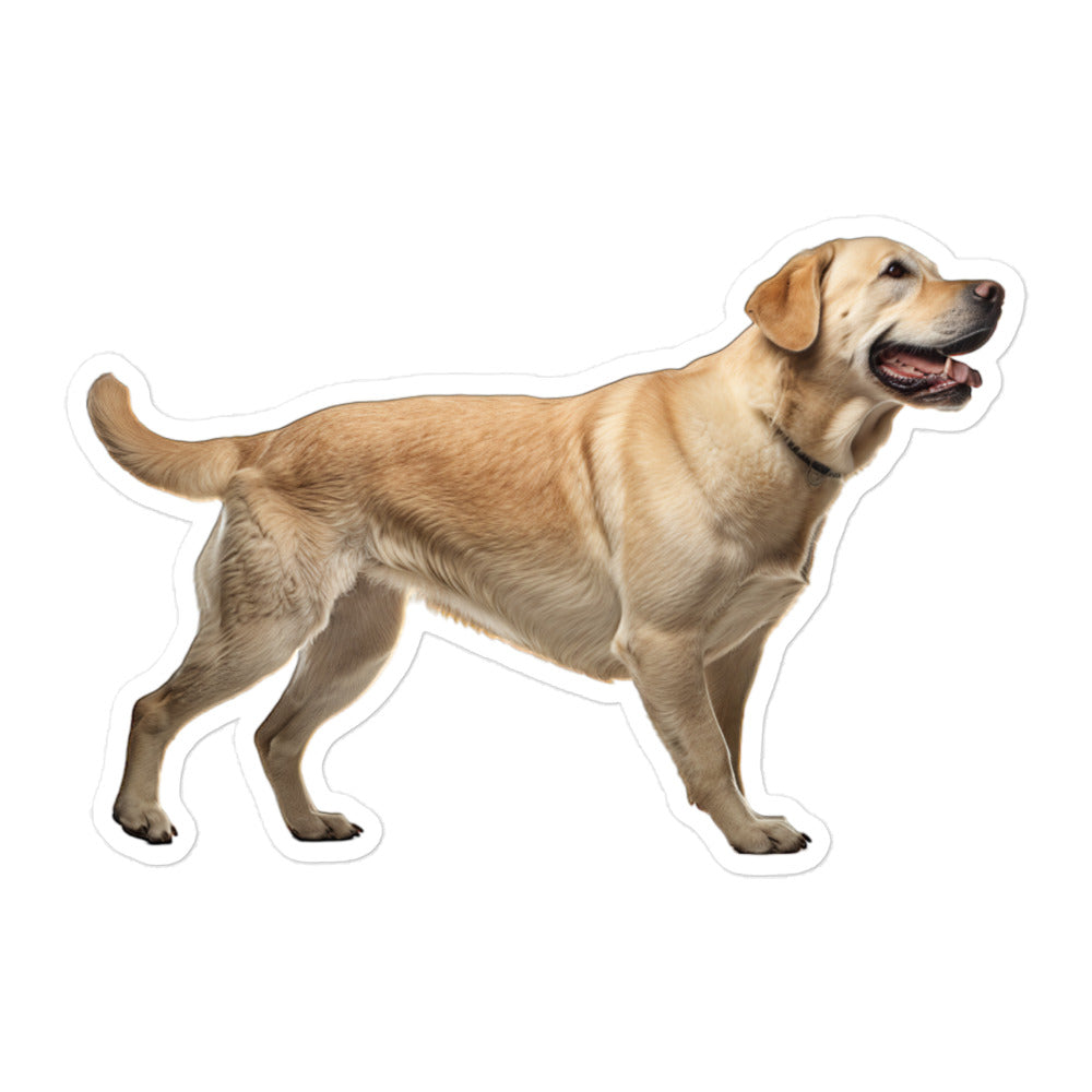 Labrador Retriever Sticker - Stickerfy.ai