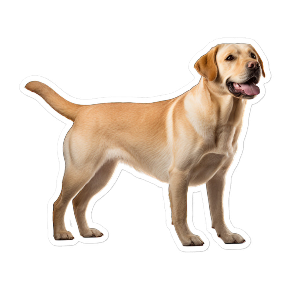 Labrador Retriever Sticker - Stickerfy.ai