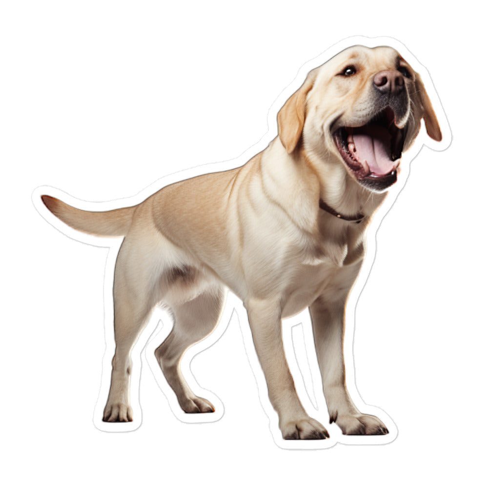 Labrador Retriever Sticker - Stickerfy.ai