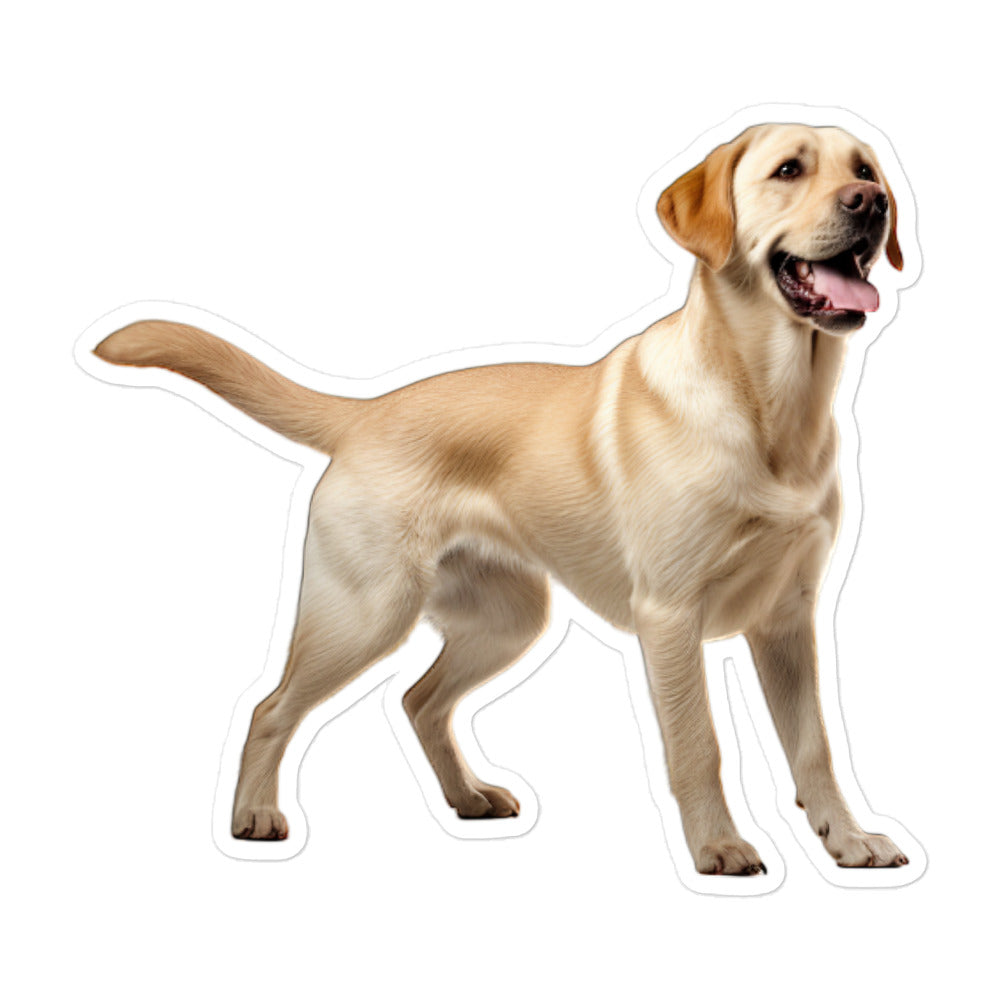 Labrador Retriever Sticker - Stickerfy.ai