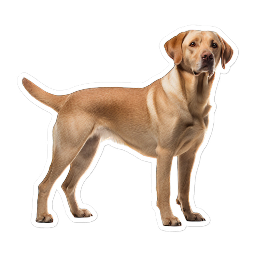Labrador Retriever Sticker - Stickerfy.ai
