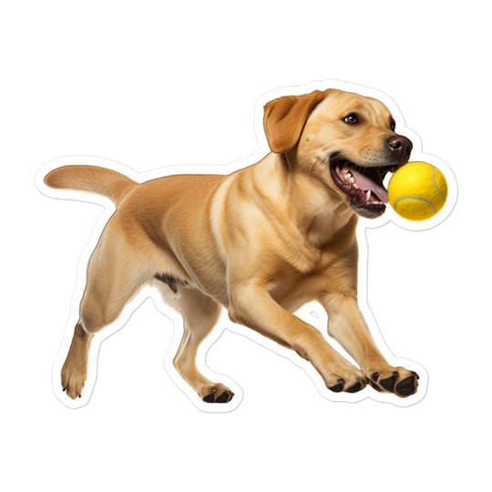 Labrador Retriever Sticker - Stickerfy.ai