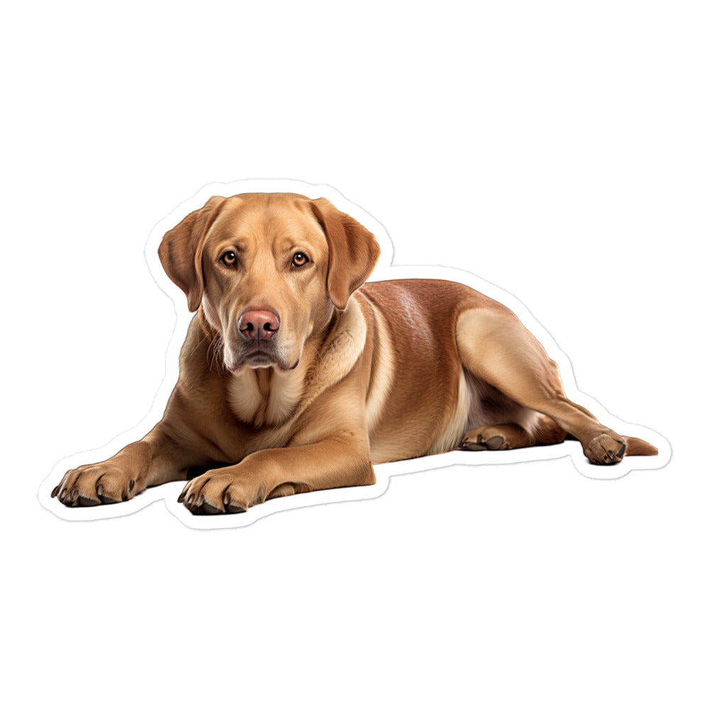 Labrador Retriever Sticker - Stickerfy.ai