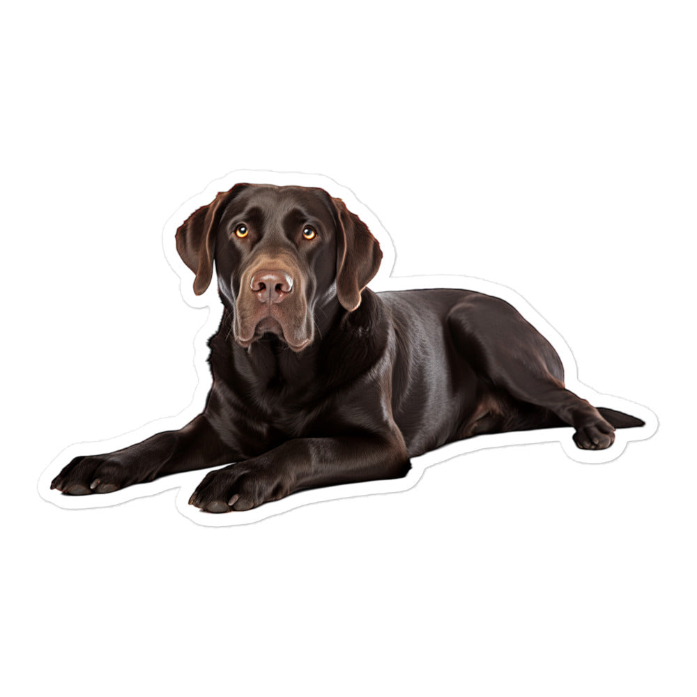 Labrador Retriever Sticker - Stickerfy.ai