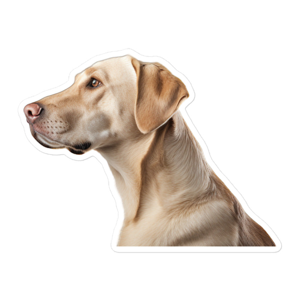 Labrador Retriever Sticker - Stickerfy.ai