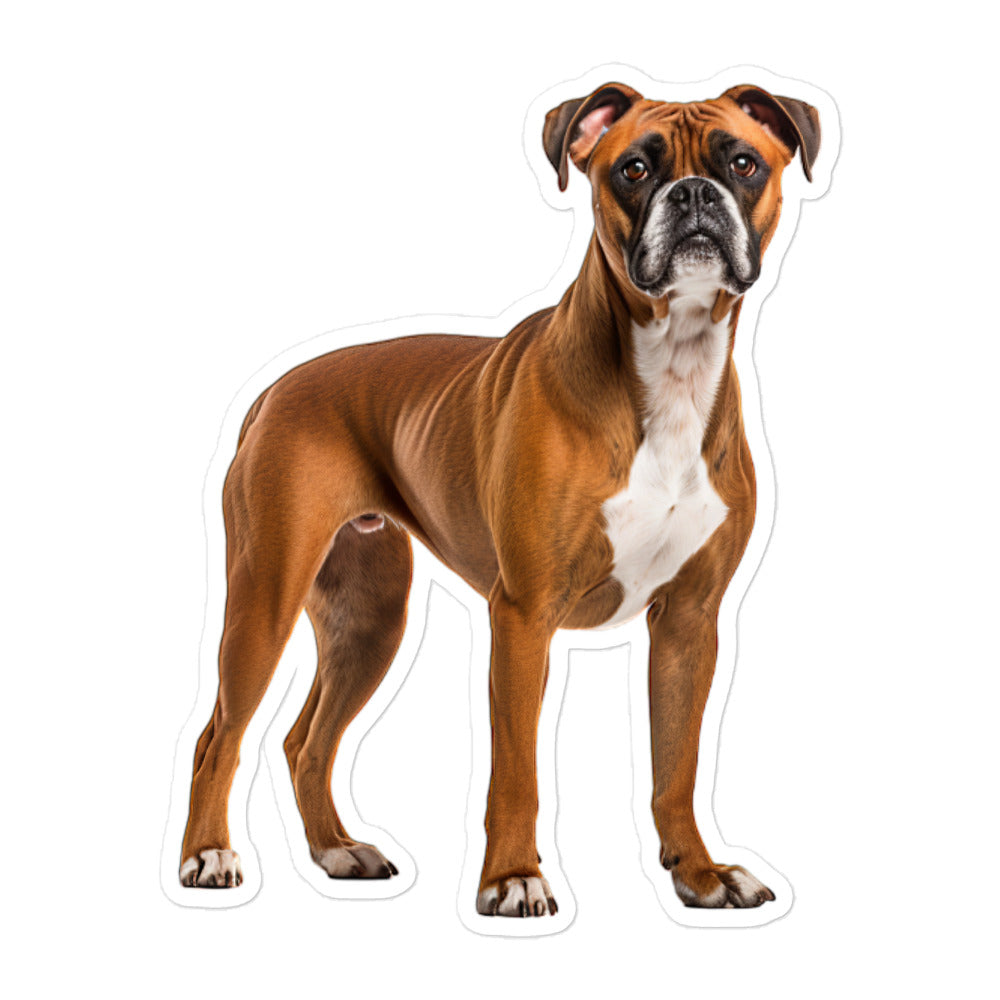 Boxer Sticker - Stickerfy.ai
