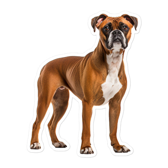 Boxer Sticker - Stickerfy.ai