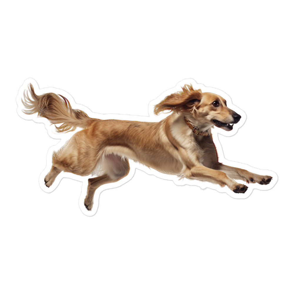 Saluki Sticker - Stickerfy.ai