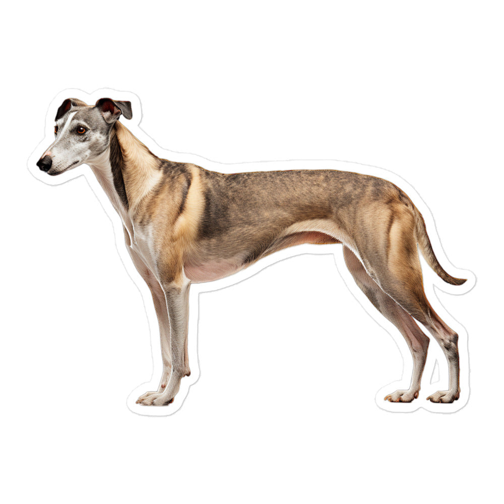 Greyhound Sticker - Stickerfy.ai
