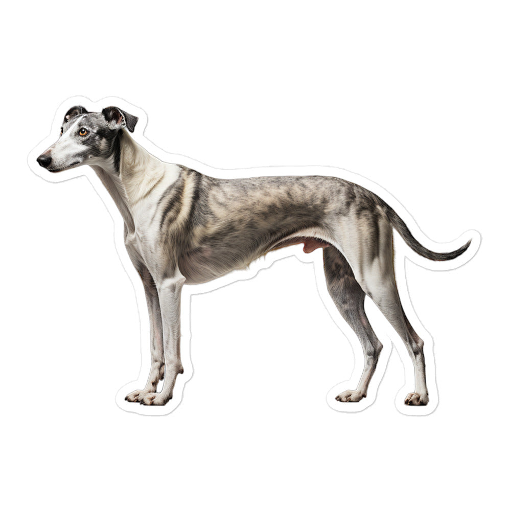 Greyhound Sticker - Stickerfy.ai