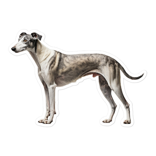 Greyhound Sticker - Stickerfy.ai
