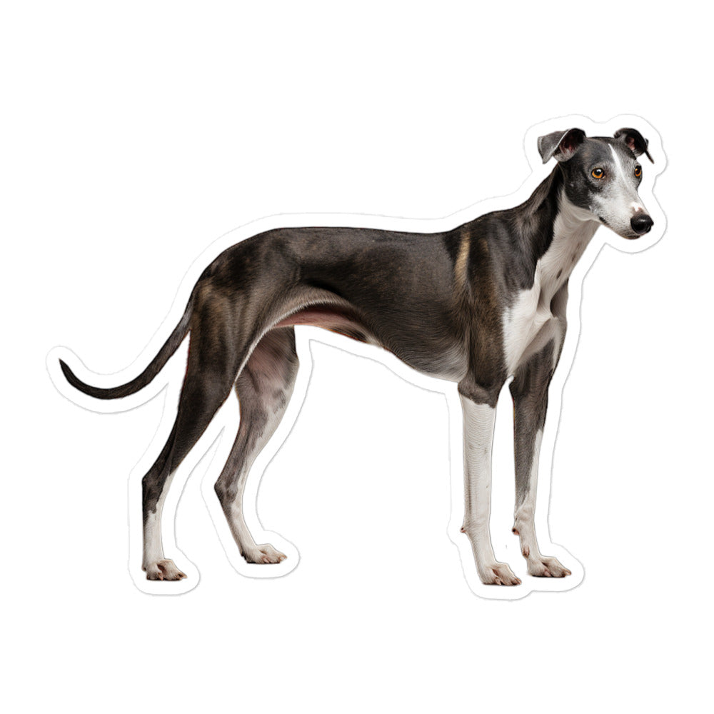 Greyhound Sticker - Stickerfy.ai