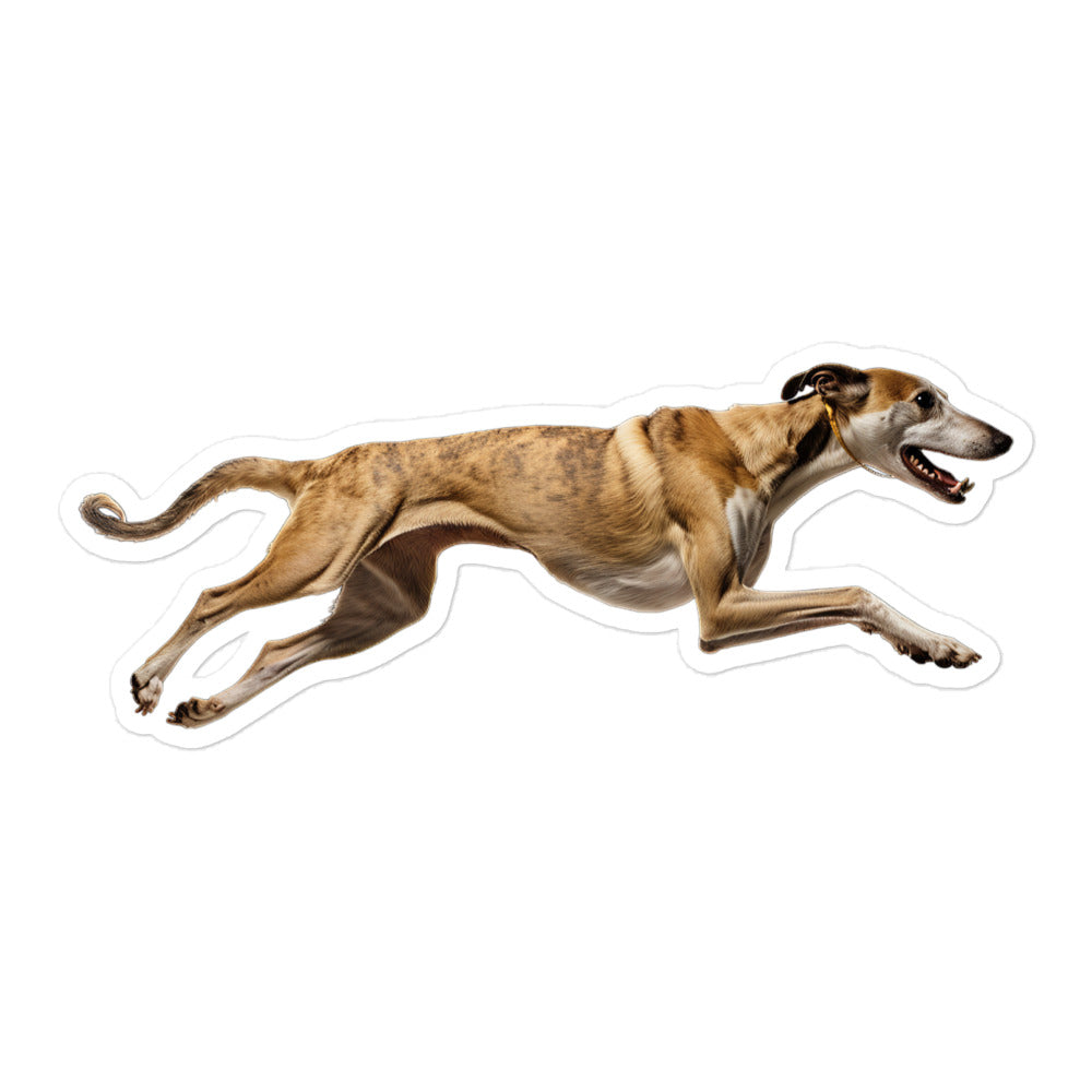 Greyhound Sticker - Stickerfy.ai