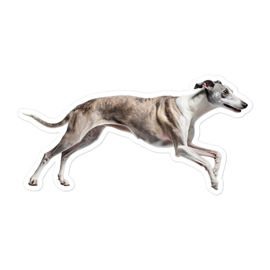 Greyhound Sticker - Stickerfy.ai
