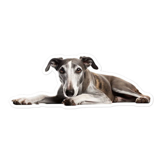 Greyhound Sticker - Stickerfy.ai