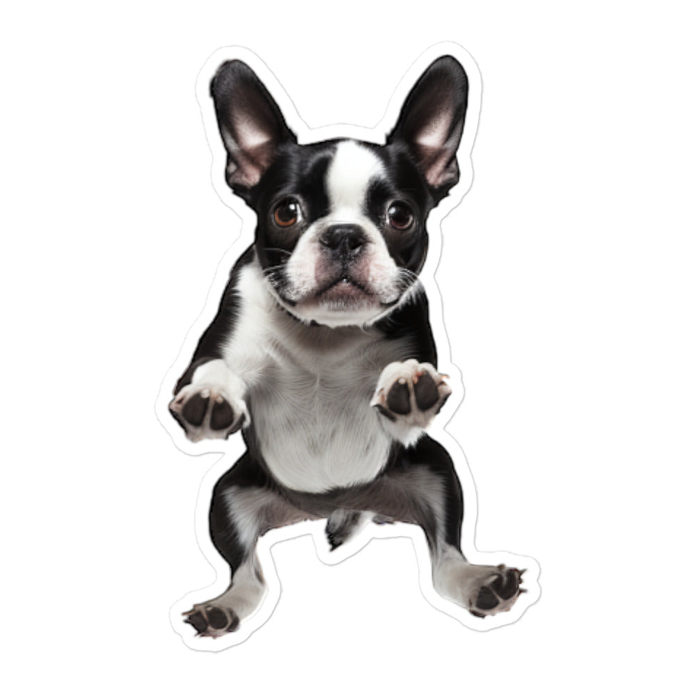 Boston Terrier Sticker - Stickerfy.ai