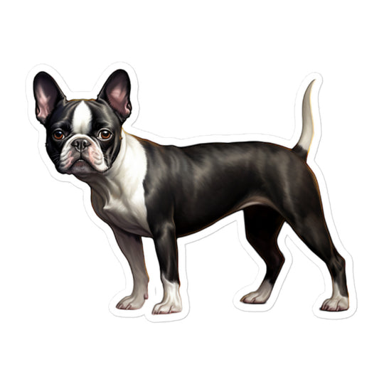 Boston Terrier Sticker - Stickerfy.ai