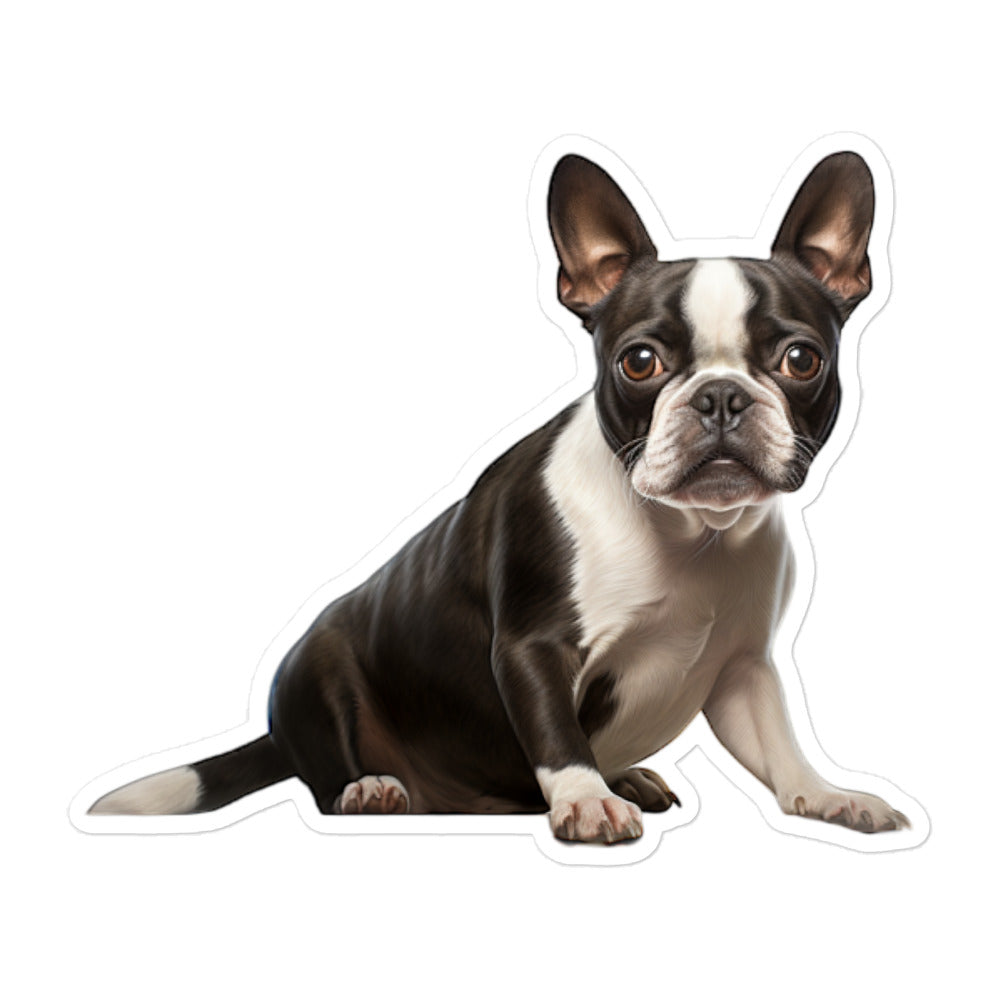 Boston Terrier Sticker - Stickerfy.ai