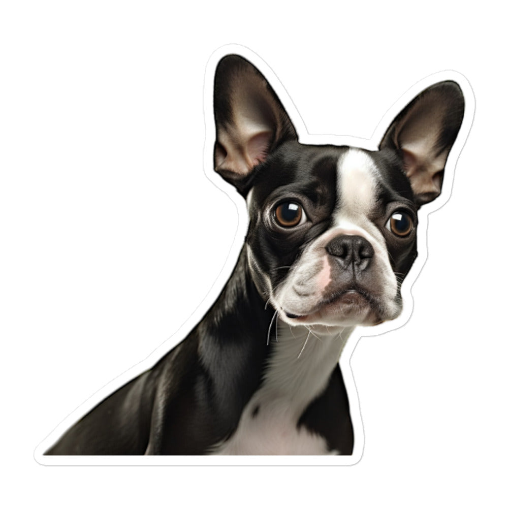 Boston Terrier Sticker - Stickerfy.ai