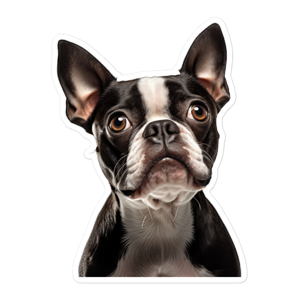 Boston Terrier Sticker - Stickerfy.ai