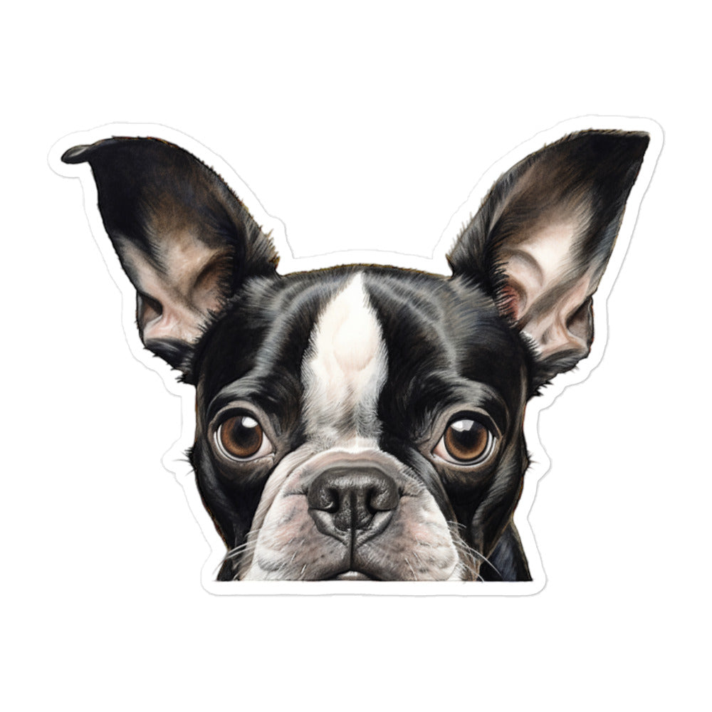 Boston Terrier Sticker - Stickerfy.ai