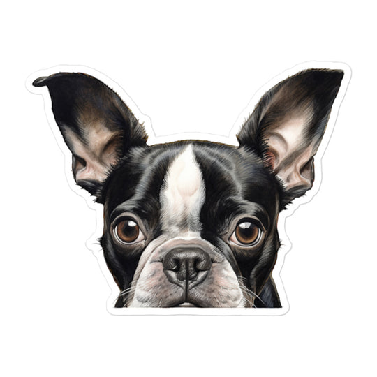 Boston Terrier Sticker - Stickerfy.ai