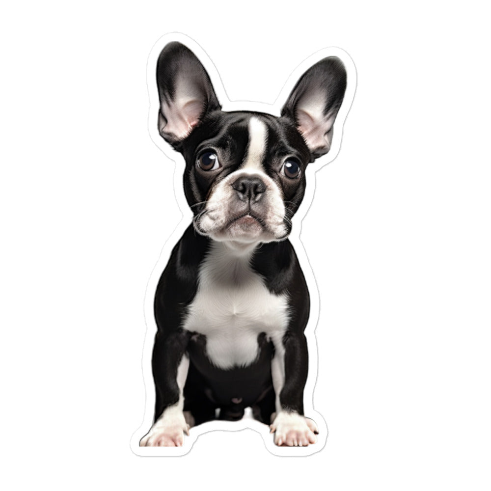 Boston Terrier Sticker - Stickerfy.ai
