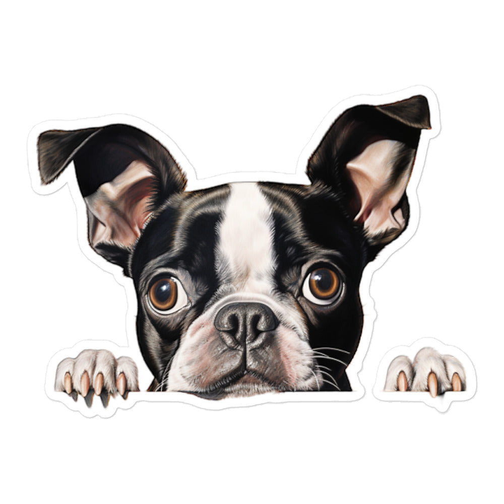 Boston Terrier Sticker - Stickerfy.ai