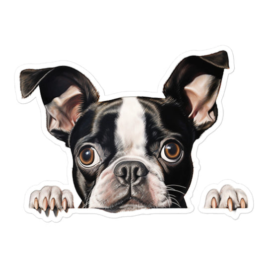 Boston Terrier Sticker - Stickerfy.ai