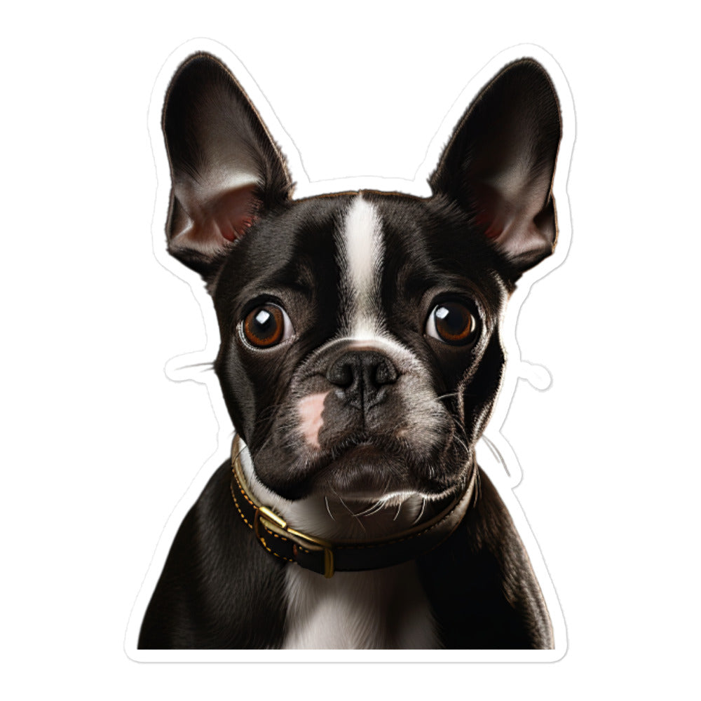 Boston Terrier Sticker - Stickerfy.ai
