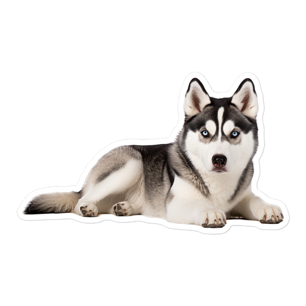 Siberian Husky Sticker - Stickerfy.ai