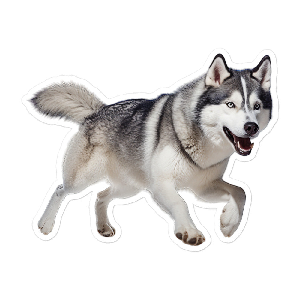 Siberian Husky Sticker - Stickerfy.ai