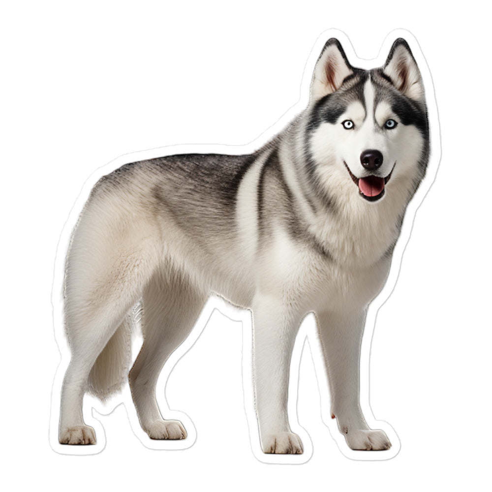 Siberian Husky Sticker - Stickerfy.ai