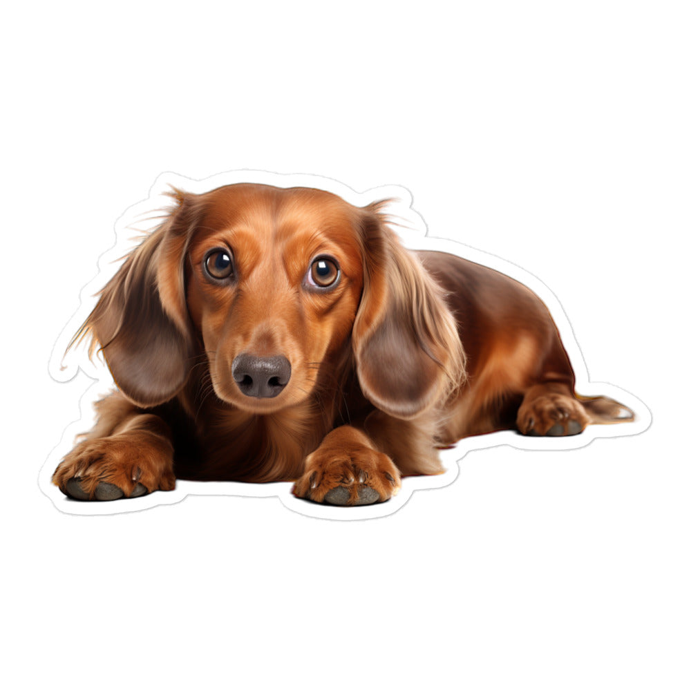 Dachshunds Sticker - Stickerfy.ai