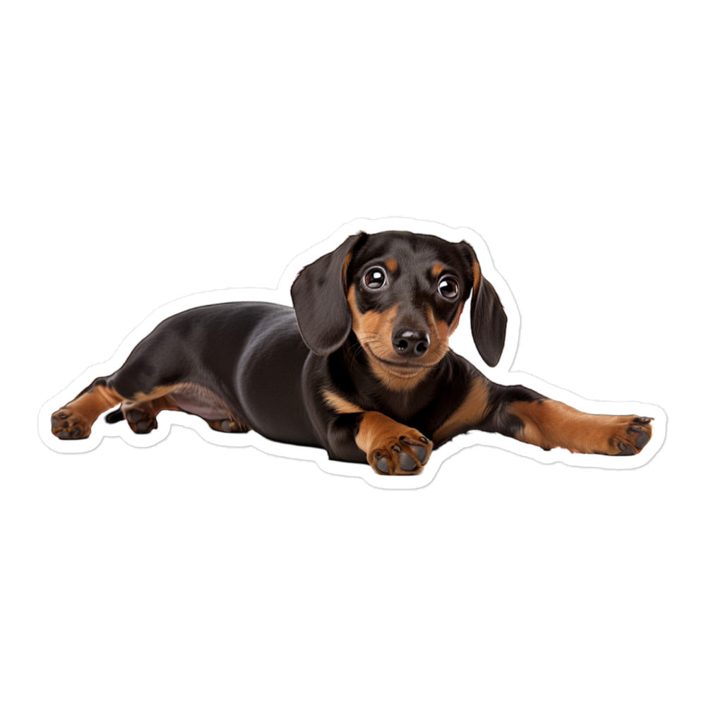 Dachshunds Sticker - Stickerfy.ai