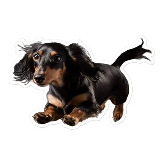 Dachshunds Sticker - Stickerfy.ai