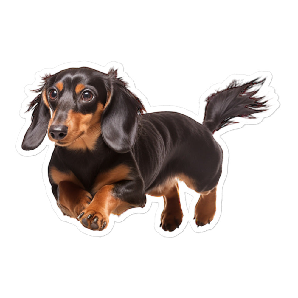 Dachshunds Sticker - Stickerfy.ai