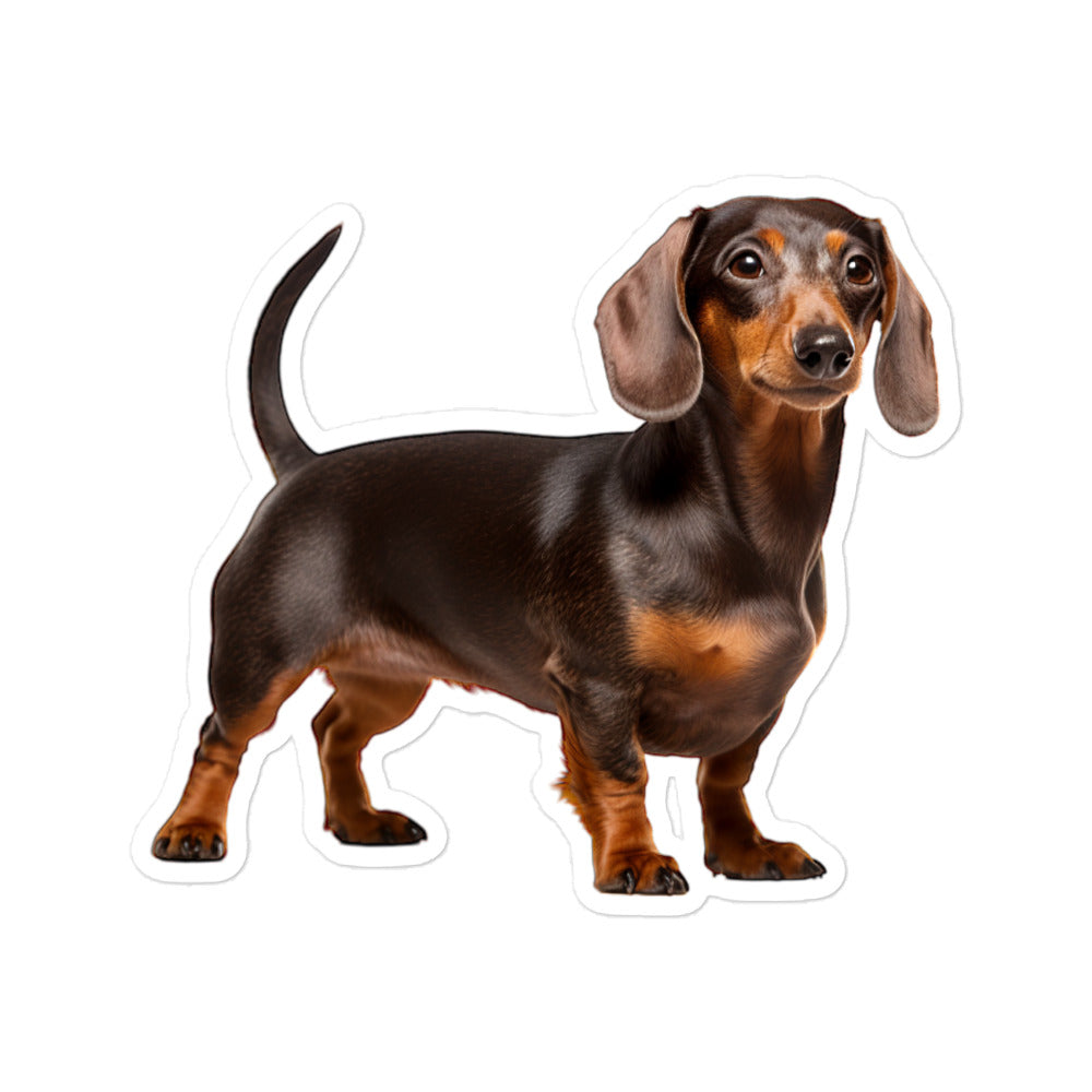 Dachshunds Sticker - Stickerfy.ai