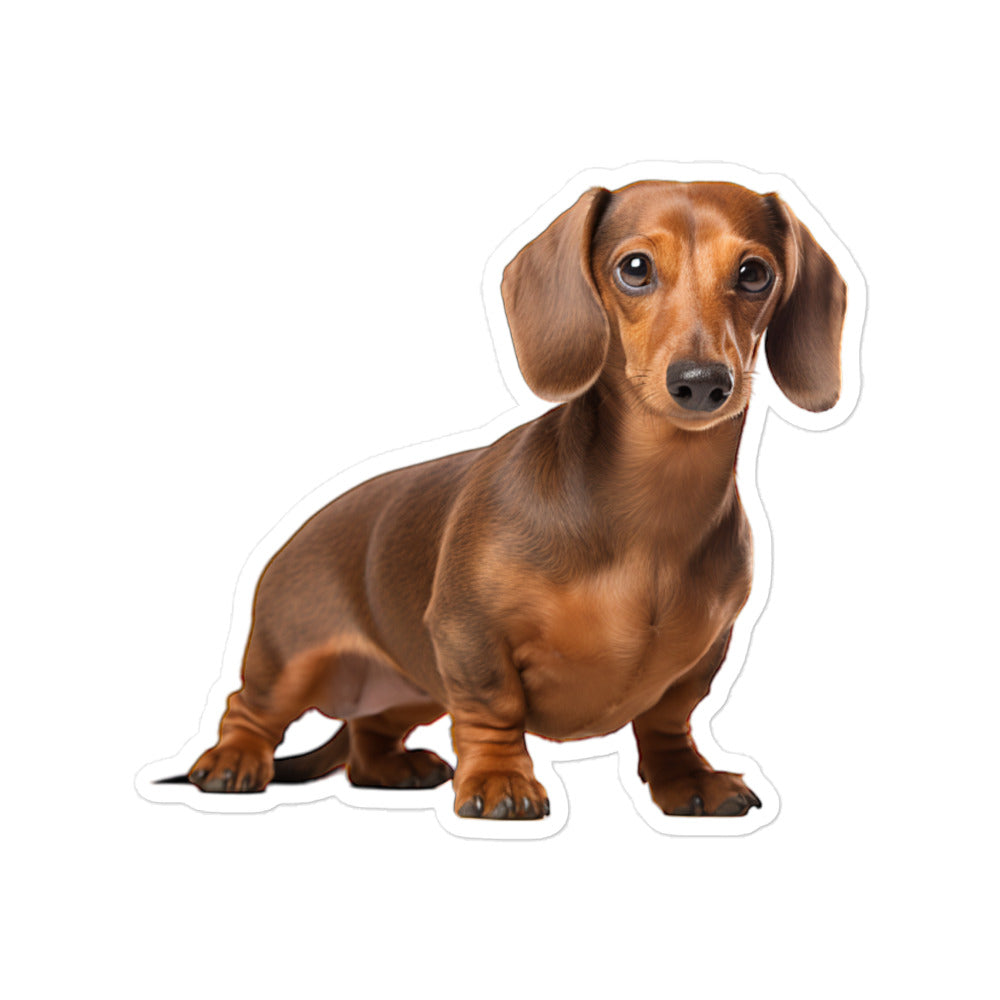 Dachshunds Sticker - Stickerfy.ai
