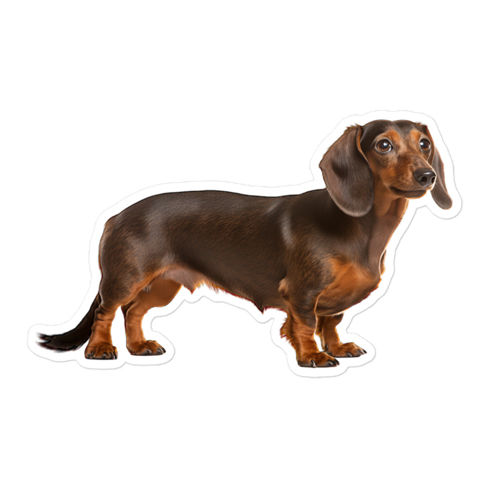 Dachshunds Sticker - Stickerfy.ai