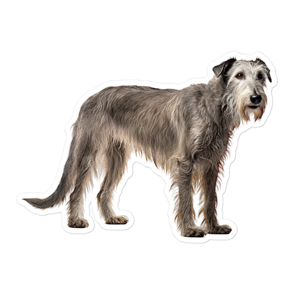 Scottish Deerhound Sticker - Stickerfy.ai
