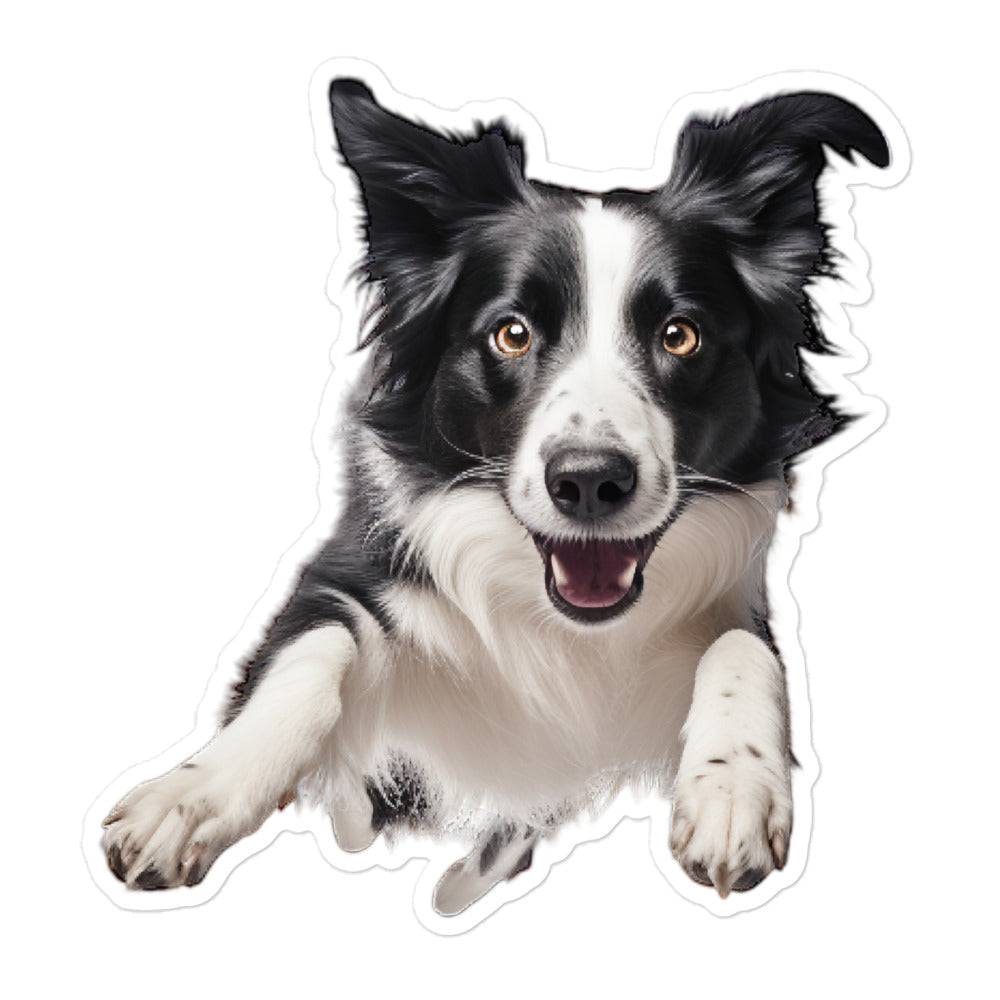 Border Collie Sticker - Stickerfy.ai