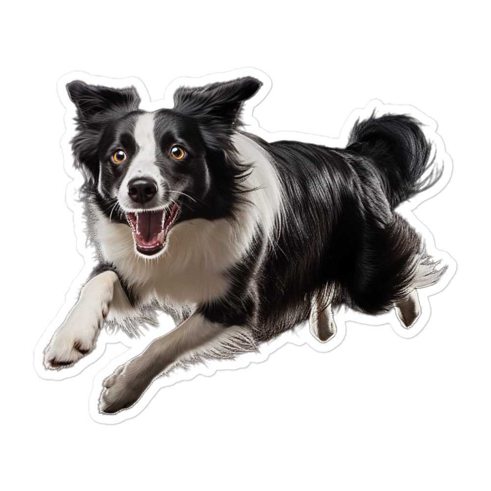 Border Collie Sticker - Stickerfy.ai