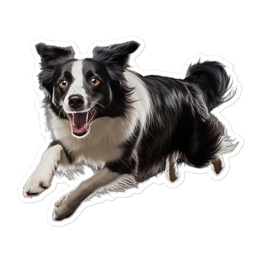 Border Collie Sticker - Stickerfy.ai