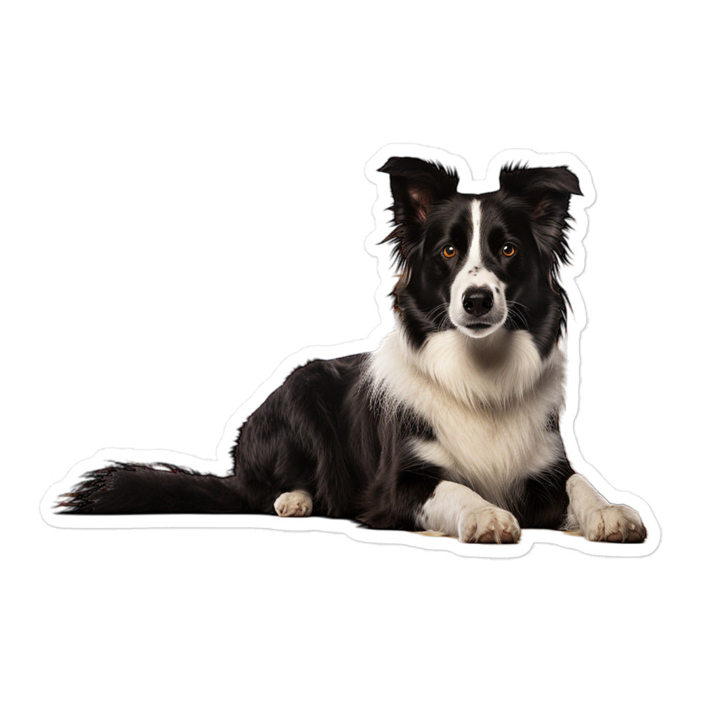 Border Collie Sticker - Stickerfy.ai
