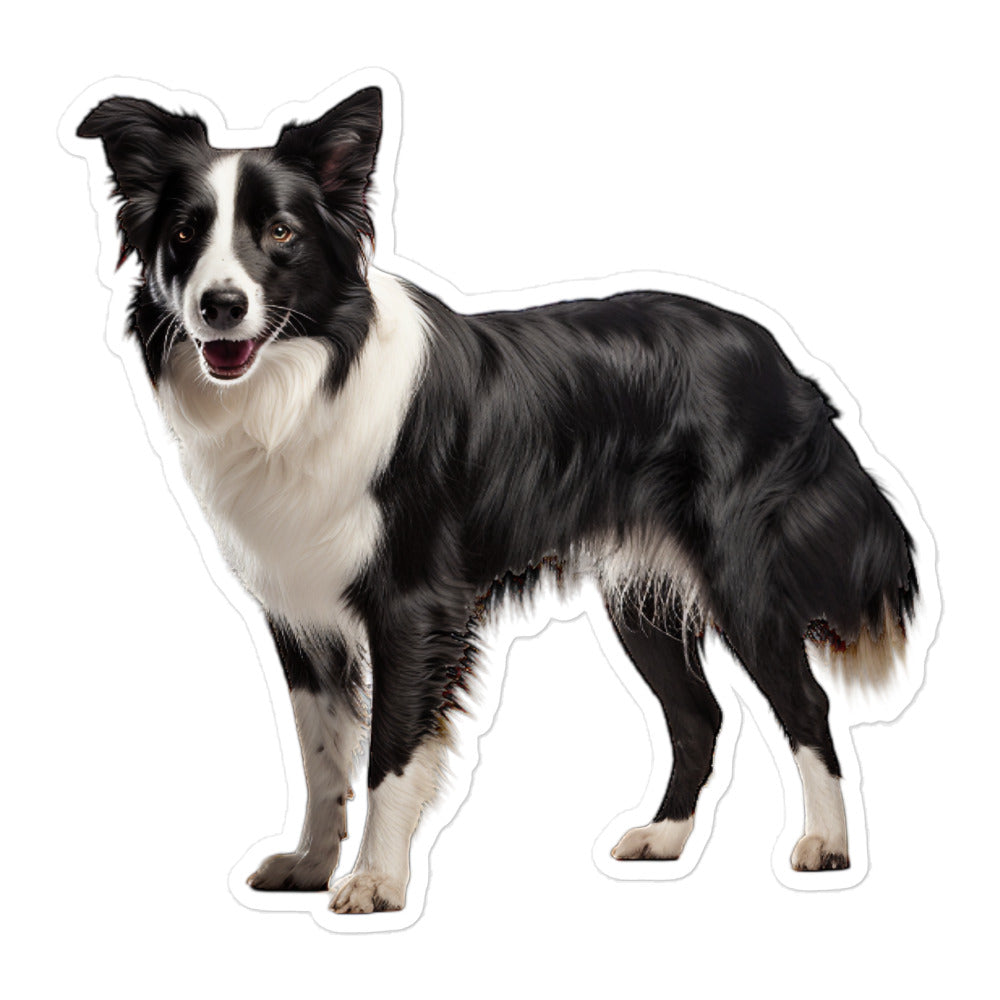 Border Collie Sticker - Stickerfy.ai