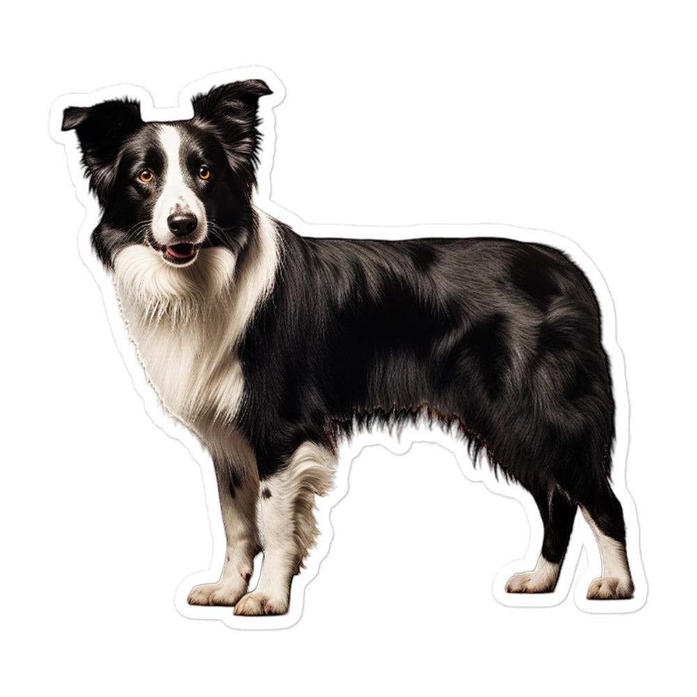 Border Collie Sticker - Stickerfy.ai