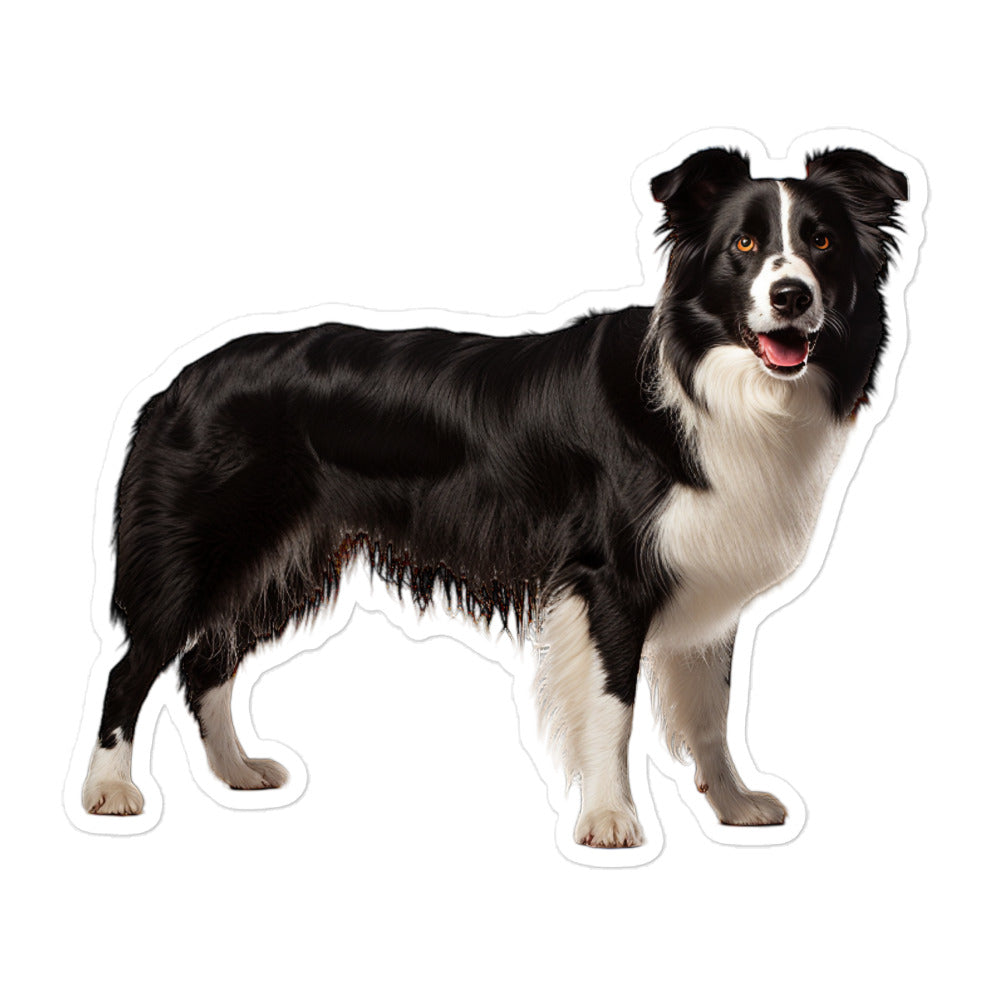 Border Collie Sticker - Stickerfy.ai