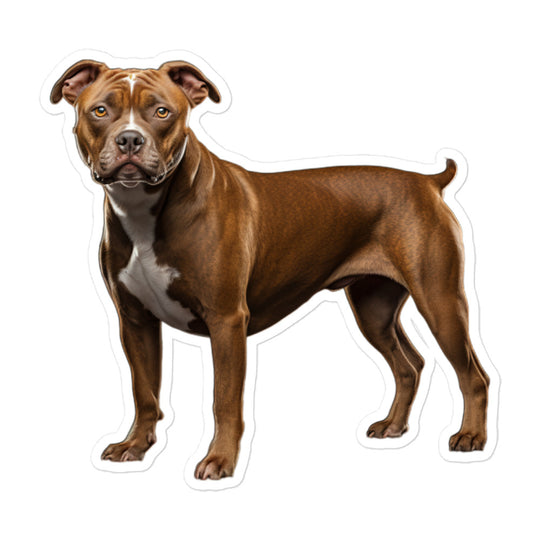 American Staffordshire Terrier Sticker - Stickerfy.ai